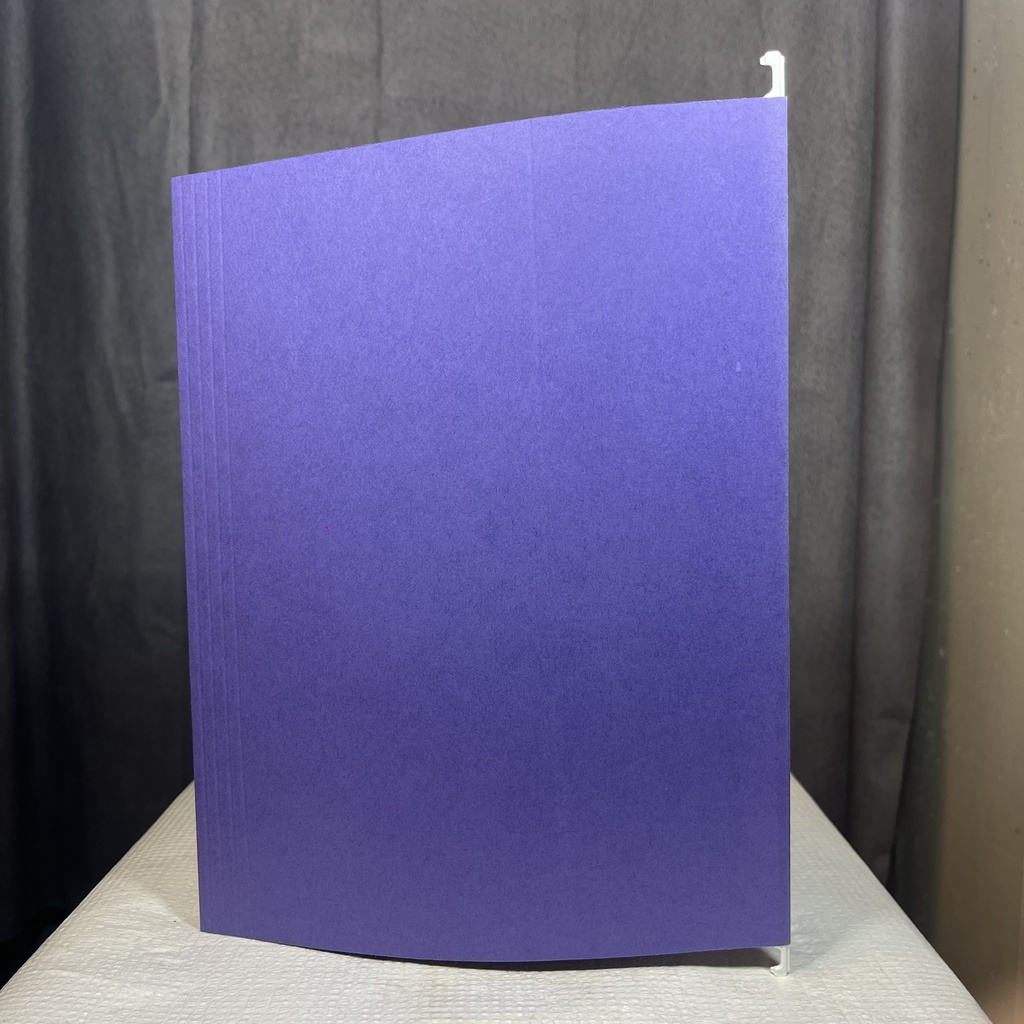 FOLDER, HANGING FILE VIOLET